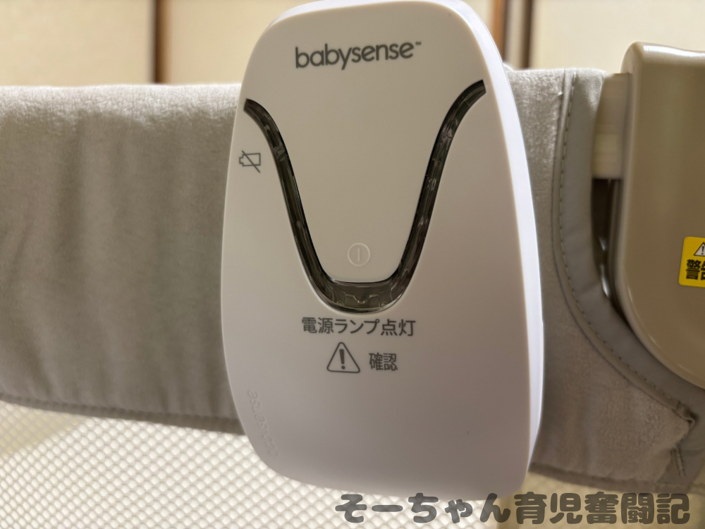 ココネルエアーの柵に